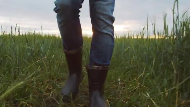 Farmer Front Sunset Agricultural Landscape Man Walking Countryside Field Concept — Vídeo de Stock