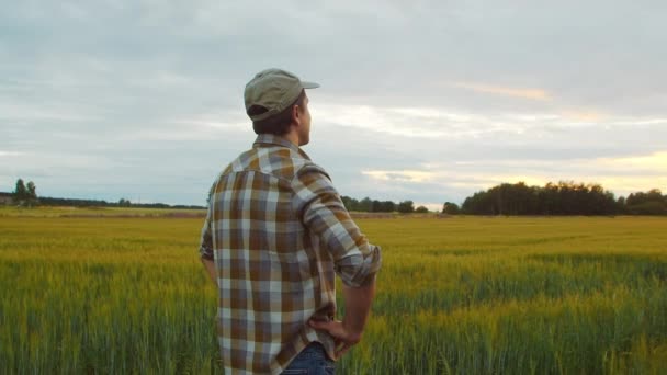 Farmer Front Sunset Agricultural Landscape Man Countryside Field Concept Country — Stockvideo