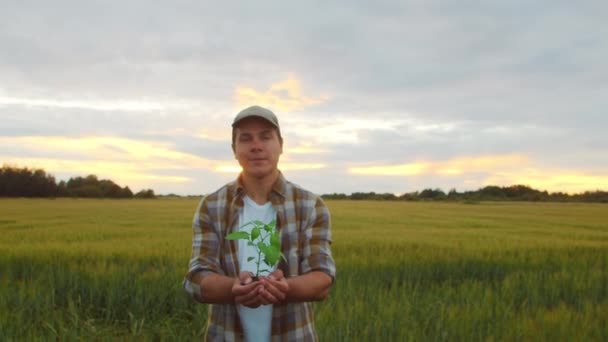 Farmer Holding Green Plant His Hands Front Sunset Agricultural Landscape — Wideo stockowe