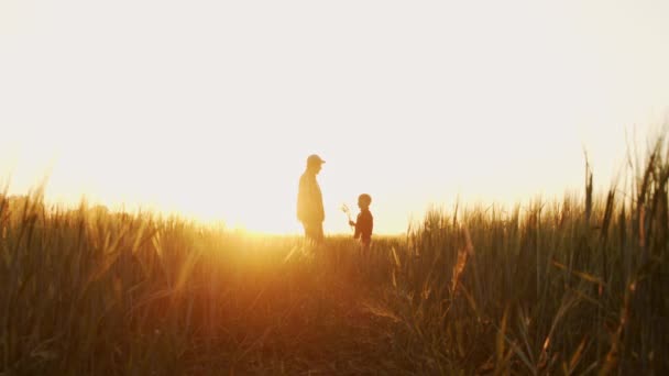 Farmer His Son Front Sunset Agricultural Landscape Man Boy Countryside — Αρχείο Βίντεο