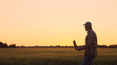 Günbatımı tarım manzarasının önünde dizüstü bilgisayarı olan bir çiftçi. Kırsal kesimde bir adam. Kır hayatı, gıda üretimi, tarım ve teknoloji kavramı.