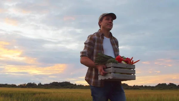 Petani Dengan Kotak Sayuran Depan Pemandangan Pertanian Matahari Terbenam Seorang — Stok Foto