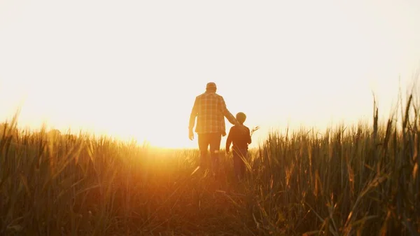 Farmer His Son Front Sunset Agricultural Landscape Man Boy Countryside — стоковое фото