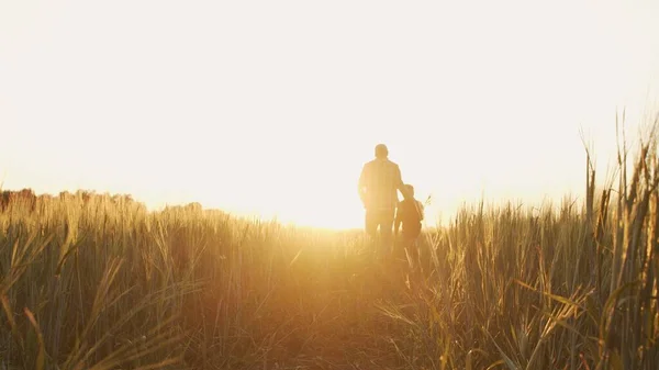 Farmer His Son Front Sunset Agricultural Landscape Man Boy Countryside — Zdjęcie stockowe