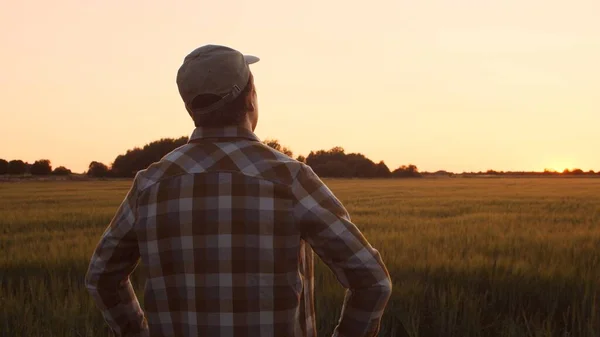 Farmer Front Sunset Agricultural Landscape Man Countryside Field Concept Country — Stock Fotó