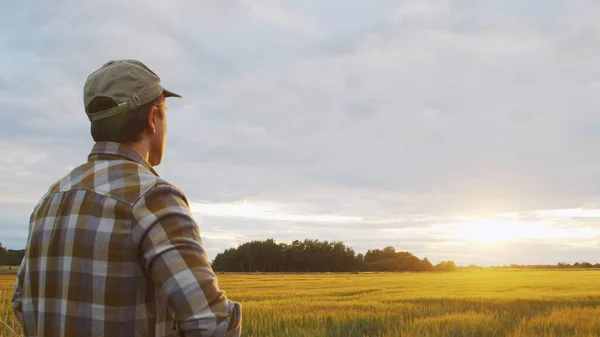 Farmer Front Sunset Agricultural Landscape Man Countryside Field Concept Country — Foto Stock