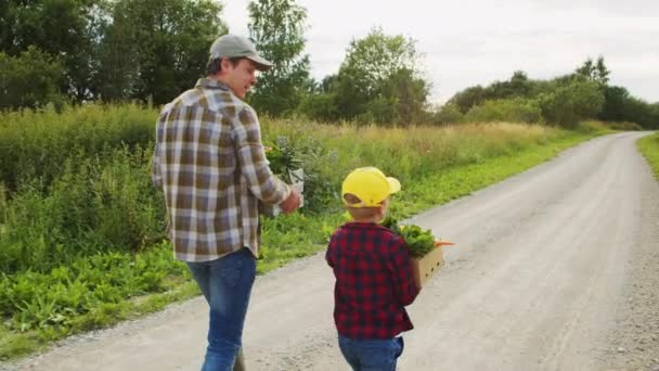 Farmer His Son Front Sunset Agricultural Landscape Man Boy Countryside — Stock Video