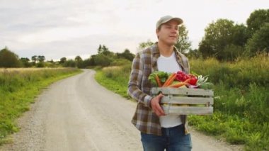 Sebze kutusu olan bir çiftçi. Kırsal alanda yürüyen bir adam. Kır hayatı, gıda üretimi, tarım ve kırsal yaşam tarzı kavramı.