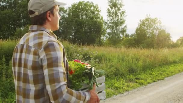Petani Dengan Kotak Sayuran Seorang Pria Berjalan Lapangan Pedesaan Konsep — Stok Video