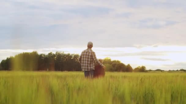 Farmer His Son Front Sunset Agricultural Landscape Man Boy Countryside — 图库视频影像