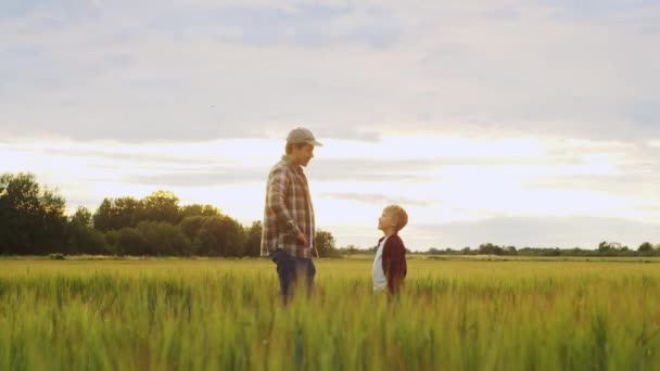 Çiftçi Oğlu Günbatımı Tarımının Önünde Kırsalda Bir Adam Bir Çocuk — Stok video