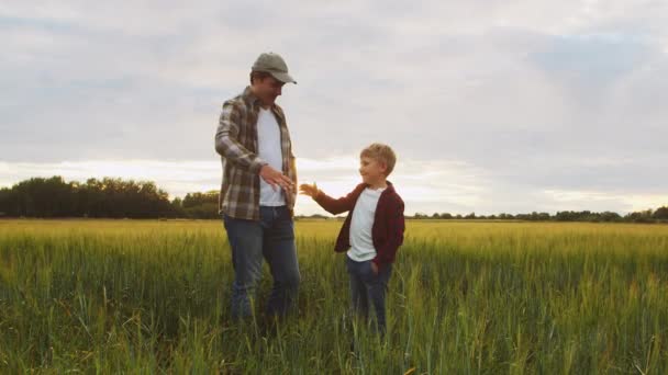 Boer Zijn Zoon Voor Een Zonsondergang Agrarisch Landschap Man Een — Stockvideo