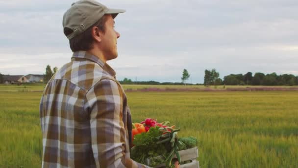 Фермер Овочевою Коробкою Перед Сільськогосподарським Пейзажем Заході Сонця Людина Сільській — стокове відео