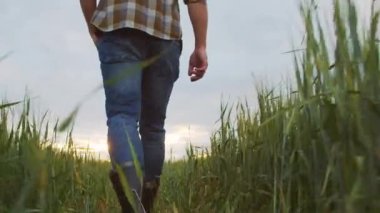 Günbatımı tarımının önündeki çiftçi. Kırsal alanda yürüyen bir adam. Kır hayatı, gıda üretimi, tarım ve kırsal yaşam tarzı kavramı.