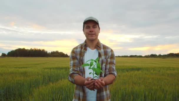 Farmer Holding Green Plant His Hands Front Sunset Agricultural Landscape — Vídeo de Stock