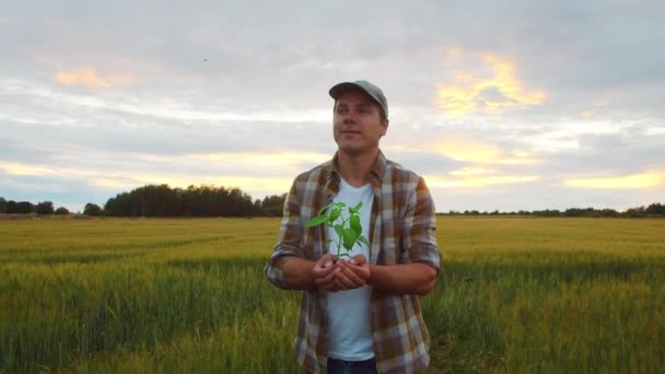 Farmer Holding Green Plant His Hands Front Sunset Agricultural Landscape — стоковое видео