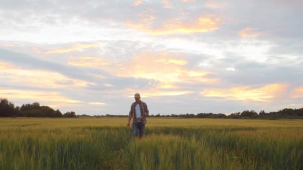 Günbatımı Tarımının Önündeki Çiftçi Kırsal Kesimde Bir Adam Kır Hayatı — Stok video