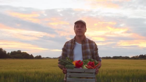 Farmer Vegetable Box Front Sunset Agricultural Landscape Man Countryside Field — Stockvideo