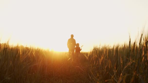 Farmer His Son Front Sunset Agricultural Landscape Man Boy Countryside — Vídeo de stock