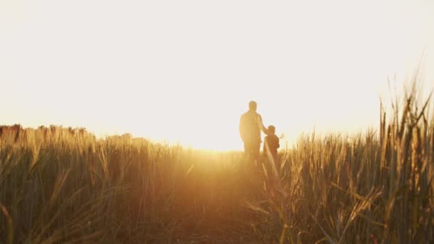 Farmer His Son Front Sunset Agricultural Landscape Man Boy Countryside — Stock Video