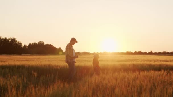 Farmer His Son Front Sunset Agricultural Landscape Man Boy Countryside — Stock video
