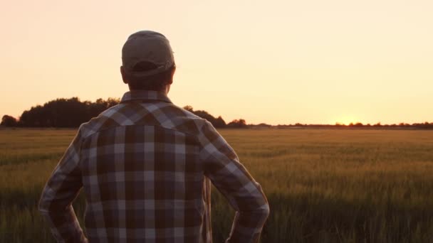 Boer Voor Een Zonsondergang Agrarisch Landschap Man Het Platteland Het — Stockvideo