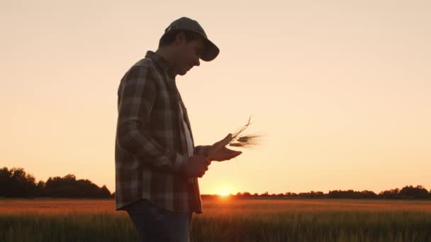 Farmer Front Sunset Agricultural Landscape Man Countryside Field Concept Country — Stock videók