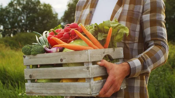 Farmer with a vegetable box in front of a sunset agricultural landscape. Man in a countryside field. The concept of country life, food production, farming and country lifestyle.