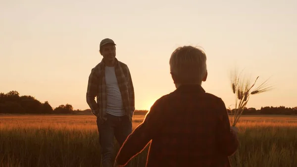 Farmer His Son Front Sunset Agricultural Landscape Man Boy Countryside — Fotografia de Stock