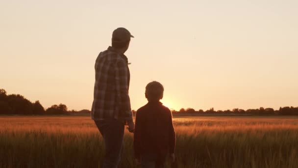 Farmer His Son Front Sunset Agricultural Landscape Man Boy Countryside — Video