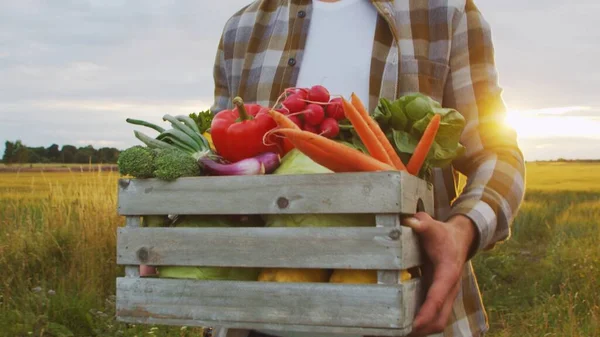 Farmer with a vegetable box in front of a sunset agricultural landscape. Man in a countryside field. The concept of country life, food production, farming and country lifestyle.