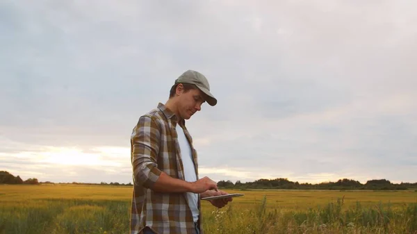 Farmer with a tablet computer in front of a sunset agricultural landscape. Man in a countryside field. The concept of country life, food production, farming and technology.