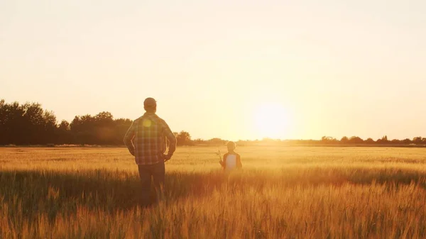 Farmer His Son Front Sunset Agricultural Landscape Man Boy Countryside — Stockfoto