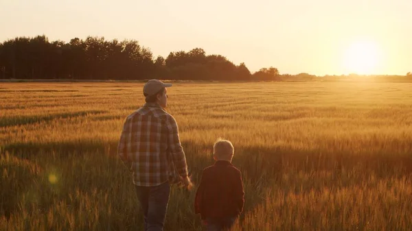 Farmer His Son Front Sunset Agricultural Landscape Man Boy Countryside — Fotografia de Stock