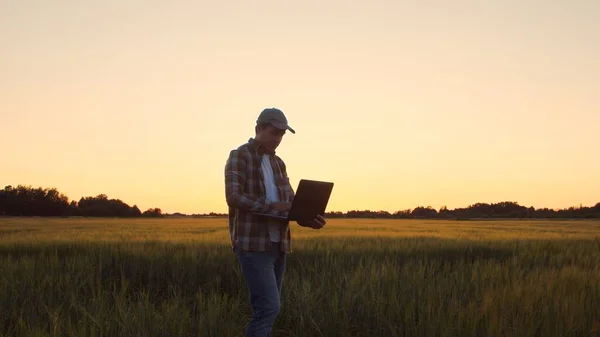 Farmer Laptop Computer Front Sunset Agricultural Landscape Man Countryside Field — Foto Stock