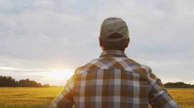 Günbatımı tarımının önündeki çiftçi. Kırsal kesimde bir adam. Kır hayatı, gıda üretimi, tarım ve kırsal yaşam tarzı kavramı.