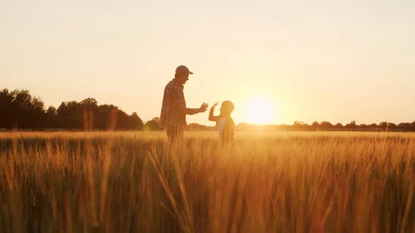 Farmer His Son Front Sunset Agricultural Landscape Man Boy Countryside Stockafbeelding