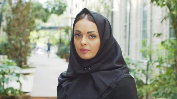 Portrait Young Confident Muslim Business Woman Hijab Middle Eastern Office — Wideo stockowe