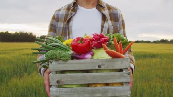 Farmer Vegetable Box Front Sunset Agricultural Landscape Man Countryside Field — Vídeos de Stock