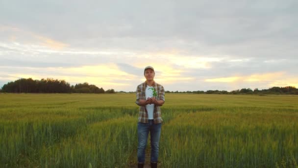 Farmer Holding Green Plant His Hands Front Sunset Agricultural Landscape — Stockvideo