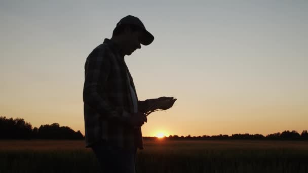 Farmer Front Sunset Agricultural Landscape Man Countryside Field Concept Country — Vídeo de Stock