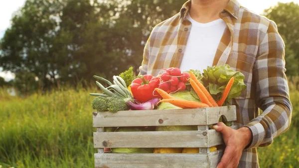 Farmer with a vegetable box in front of a sunset agricultural landscape. Man in a countryside field. The concept of country life, food production, farming and country lifestyle.