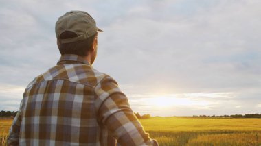Günbatımı tarımının önündeki çiftçi. Kırsal kesimde bir adam. Kır hayatı, gıda üretimi, tarım ve kırsal yaşam tarzı kavramı.