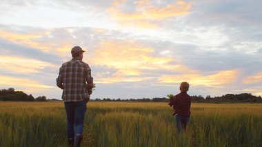 Çiftçi ve oğlu günbatımı tarımının önünde. Kırsalda bir adam ve bir çocuk. Babalık kavramı, köy hayatı, tarım ve kırsal yaşam tarzı..