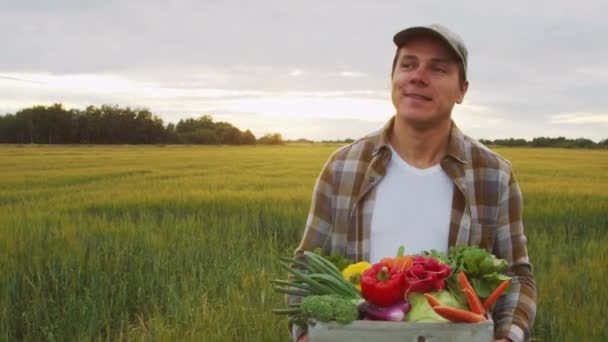 Farmer Vegetable Box Front Sunset Agricultural Landscape Man Countryside Field — Video