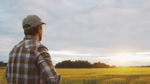 Farmer Looking Sunset Agricultural Landscape Man Countryside Field Concept Ecology — Wideo stockowe