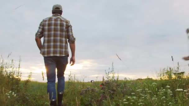 Farmer Walking Field Sunset Agricultural Landscape Man Countryside Field Concept — ストック動画