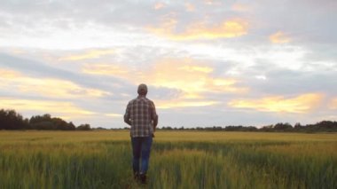 Farmer looking at sunset agricultural landscape. Man in a countryside field. The concept of ecology, food production, farming and country lifestyle.