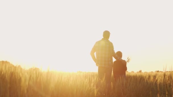 Farmer His Son Front Sunset Agricultural Landscape Man Boy Countryside — Αρχείο Βίντεο