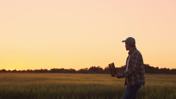 Boer Met Laptop Voor Een Zonsondergang Agrarisch Landschap Man Het — Stockvideo